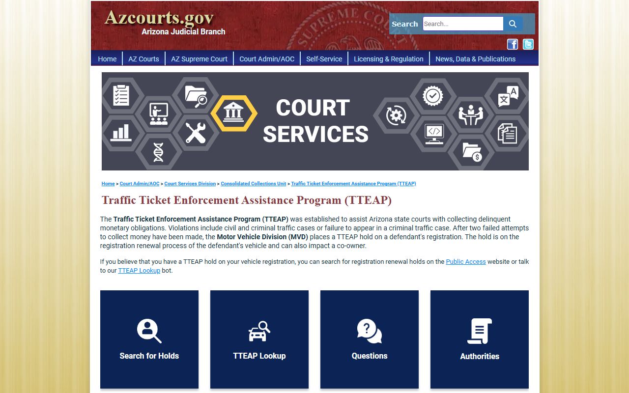 Traffic Ticket Enforcement Assistance Program information page
